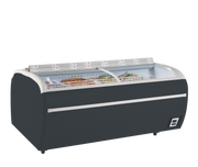 Marque TWIN Référence 220A-F Congélateur Gris Pour Supermarché Armoire Frigorifique Professionnelle 2 Portes